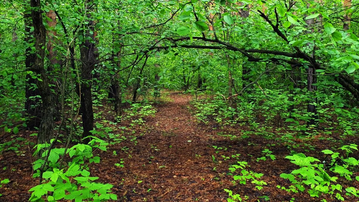     Источник: Город55