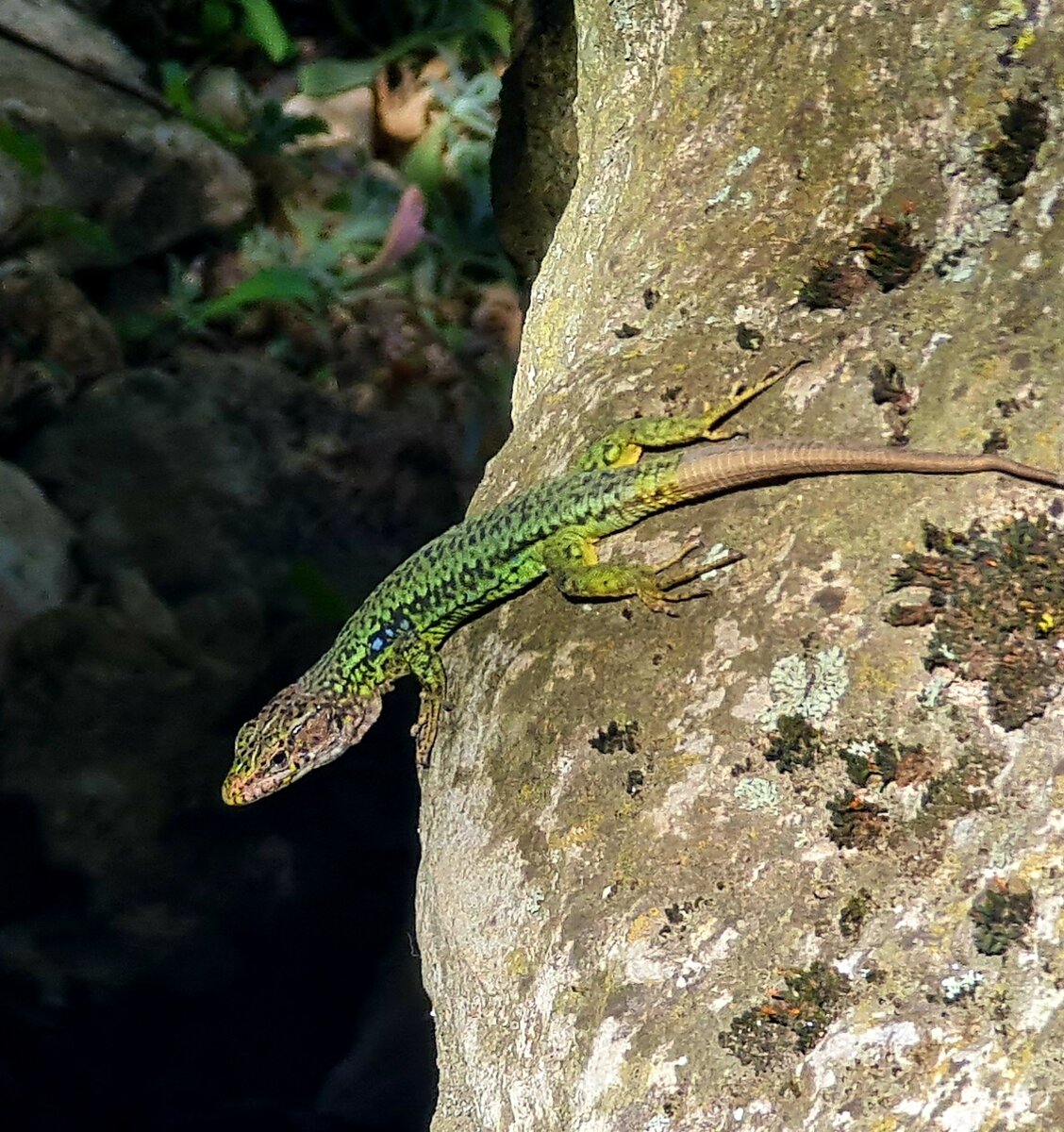 Мангуп, май 2024