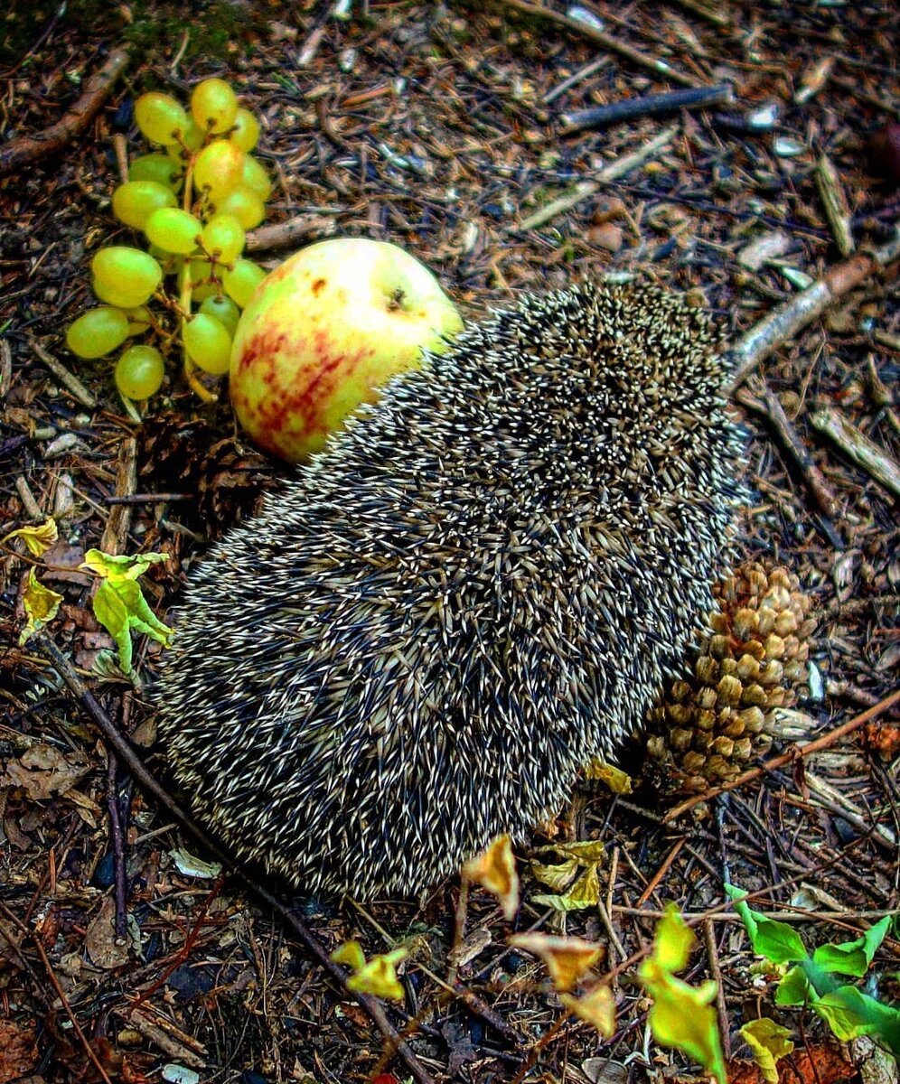  фото из личного архива