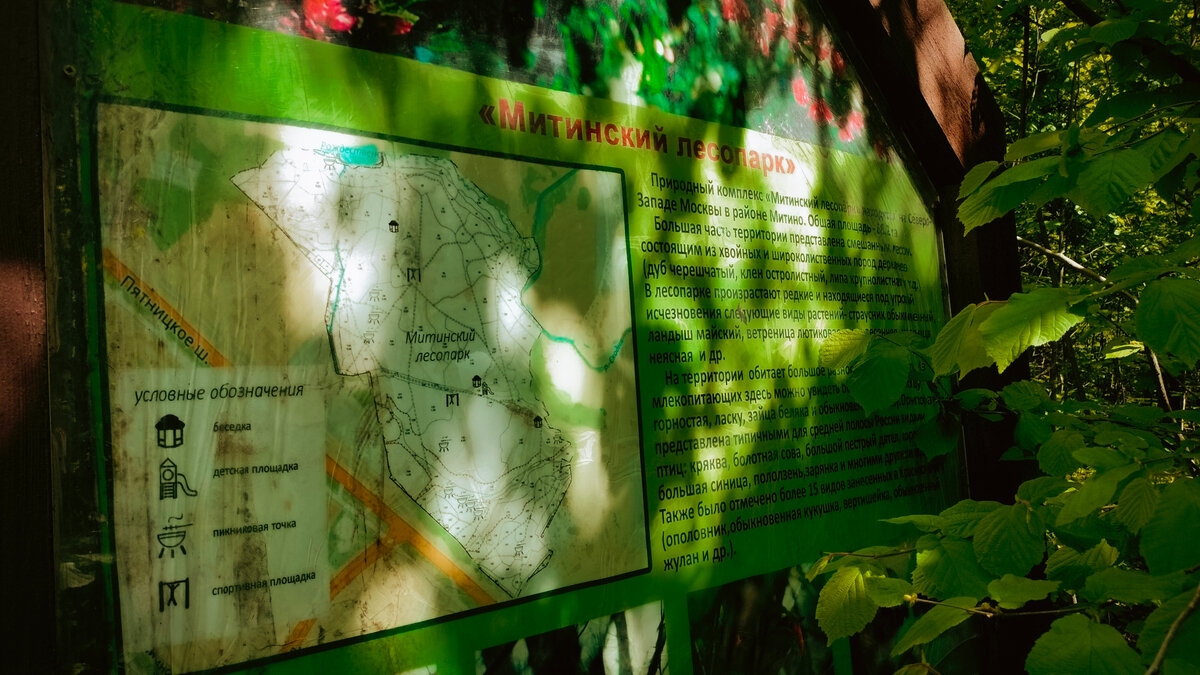 Карта и информация о местности.