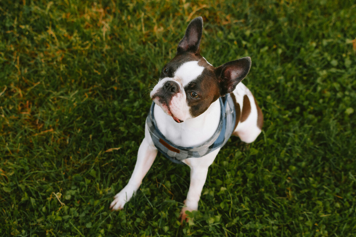 Картинка с бесплатного фотостока https://unsplash.com, автор Henrique Ferreira