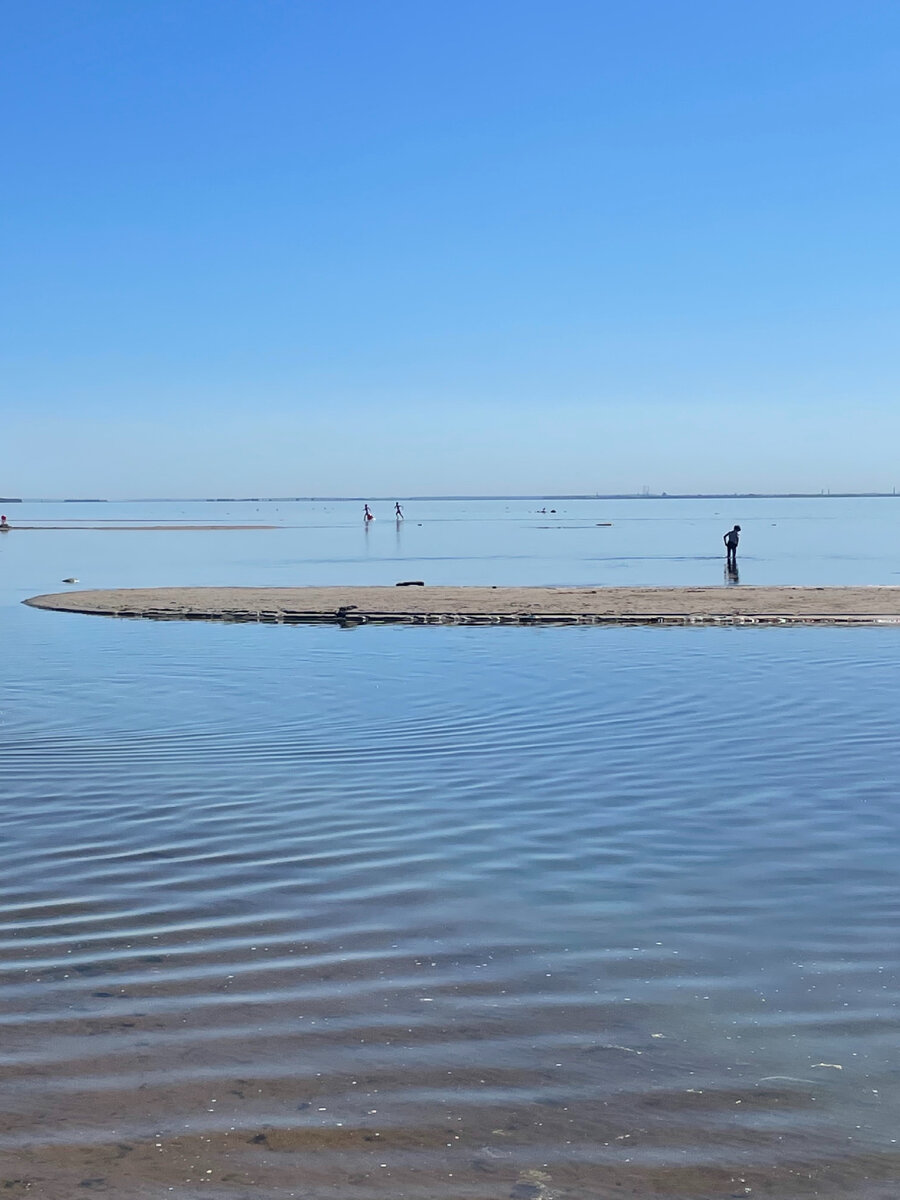 Комарово, Финский залив во время отлива