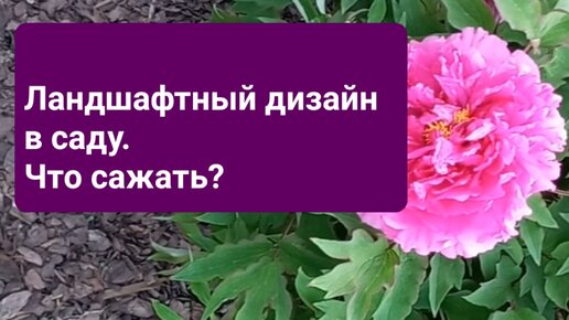 О ландшафтном дизайне в саду. Что важно при планировании участка.