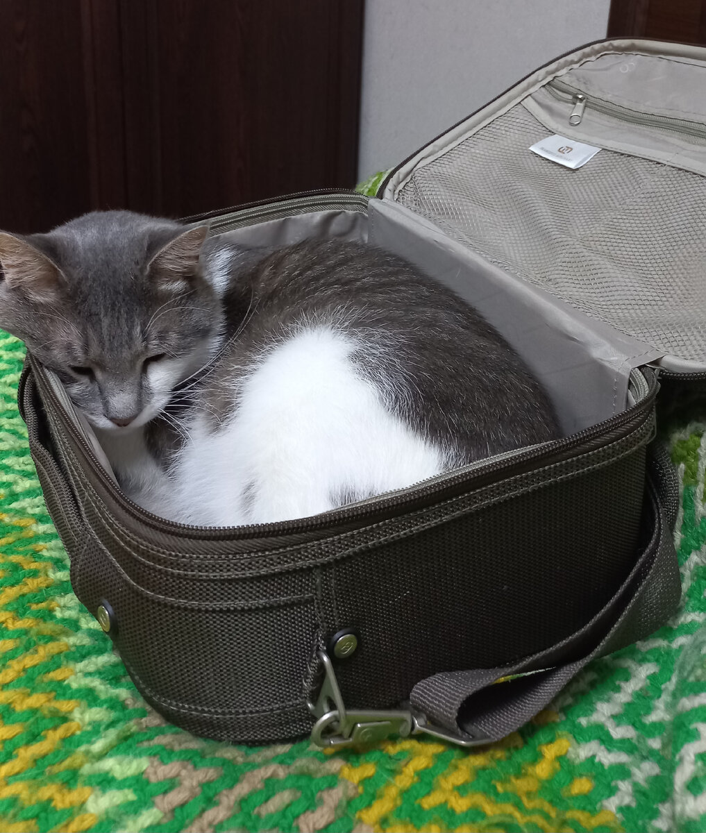 Главный упаковщик, он же ценный груз.