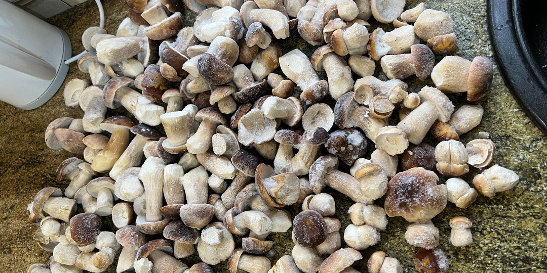 Как правильно замораживать грибы для хранения? Давайте это обсудим в преддверии грибного сезона, есть некоторые тонкости