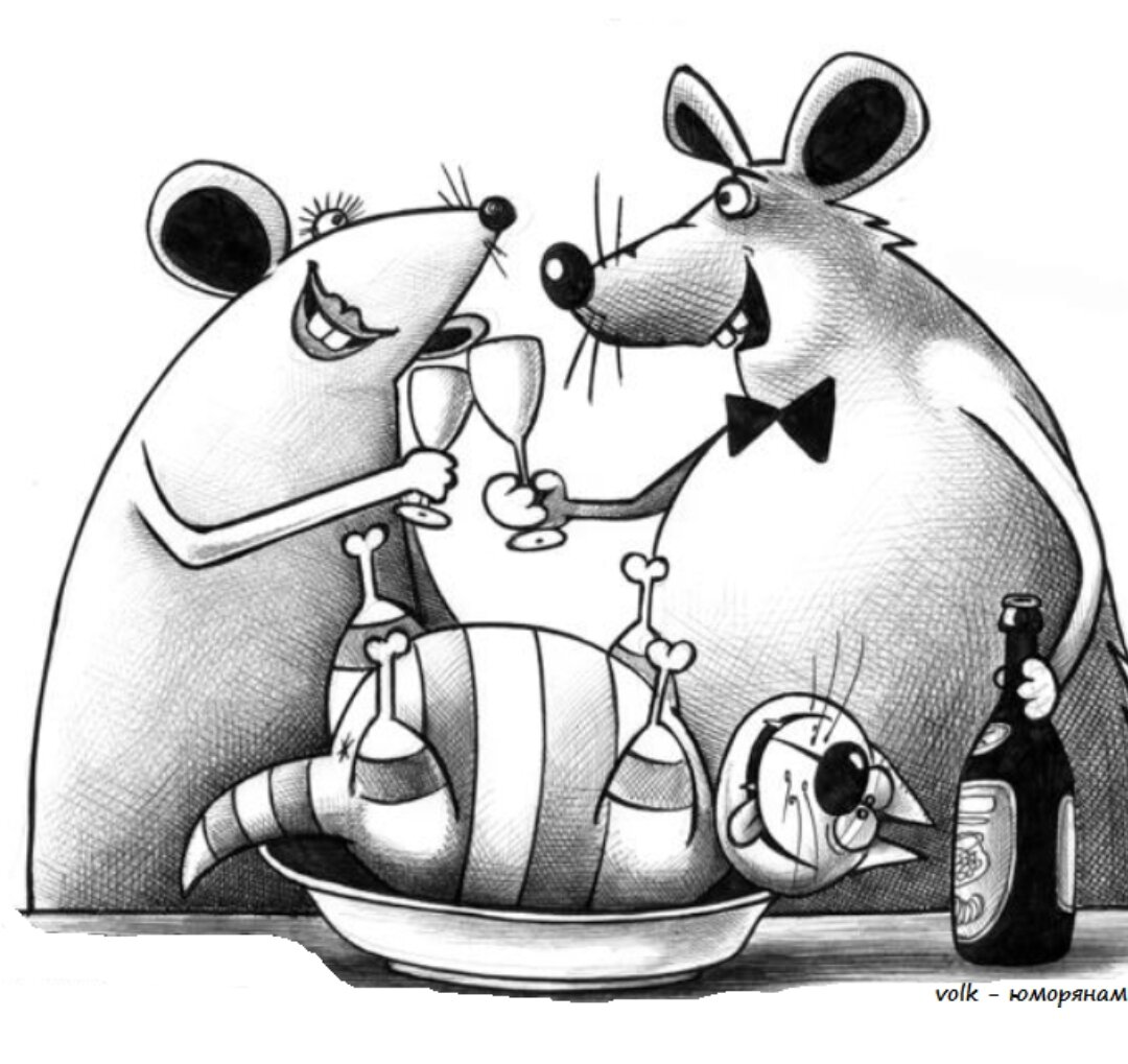 Картинка из интернета 