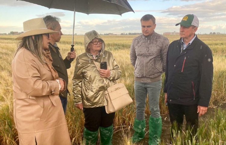    Российские и итальянские селекционеры твердой пшеницы обменялись опытом