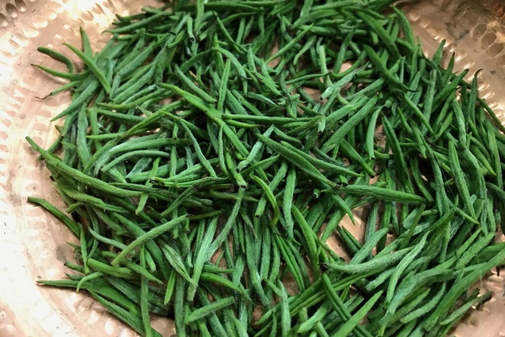 Будущий белый чай из Ризе (Турция). © Ольга Никандрова