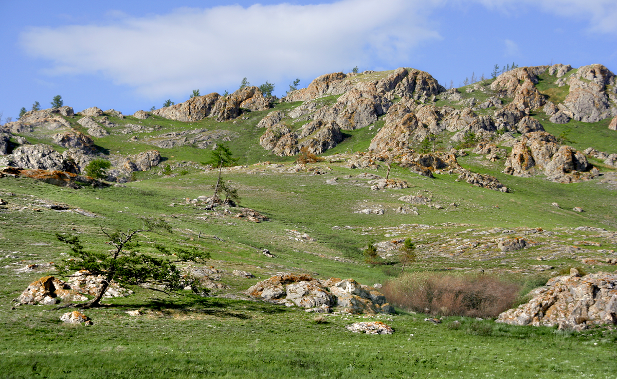 Фотография, стихотворение Василия Глуцкого