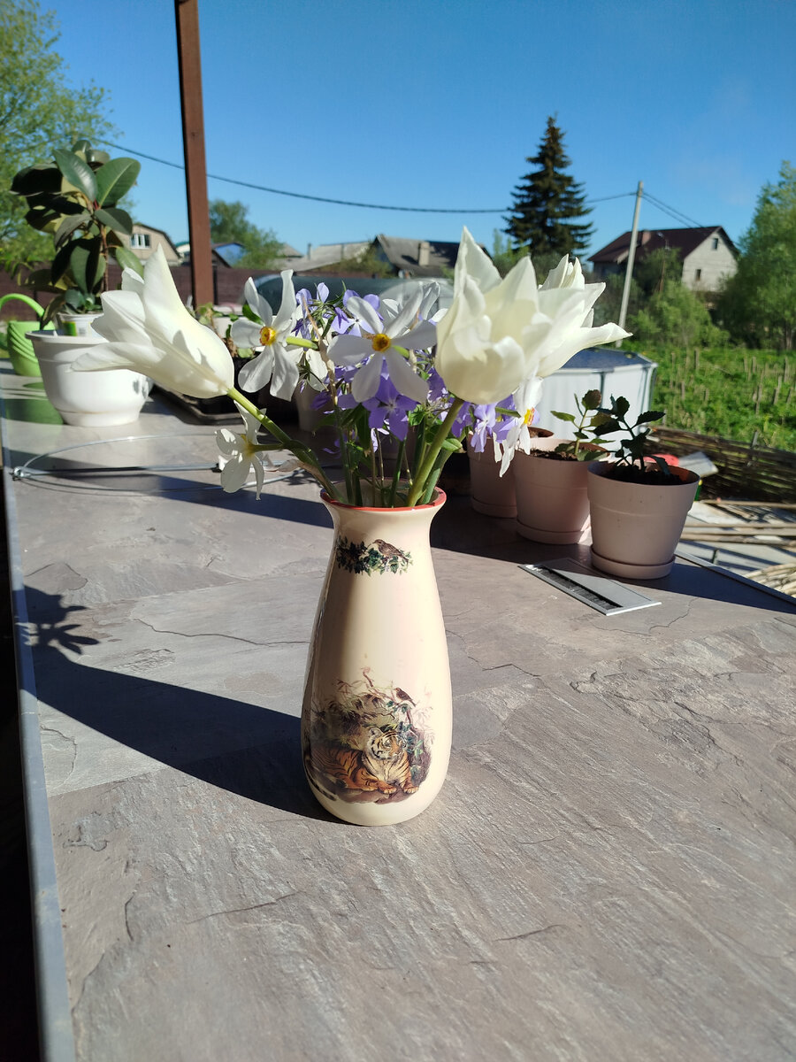 Так смотрится букет на солнце