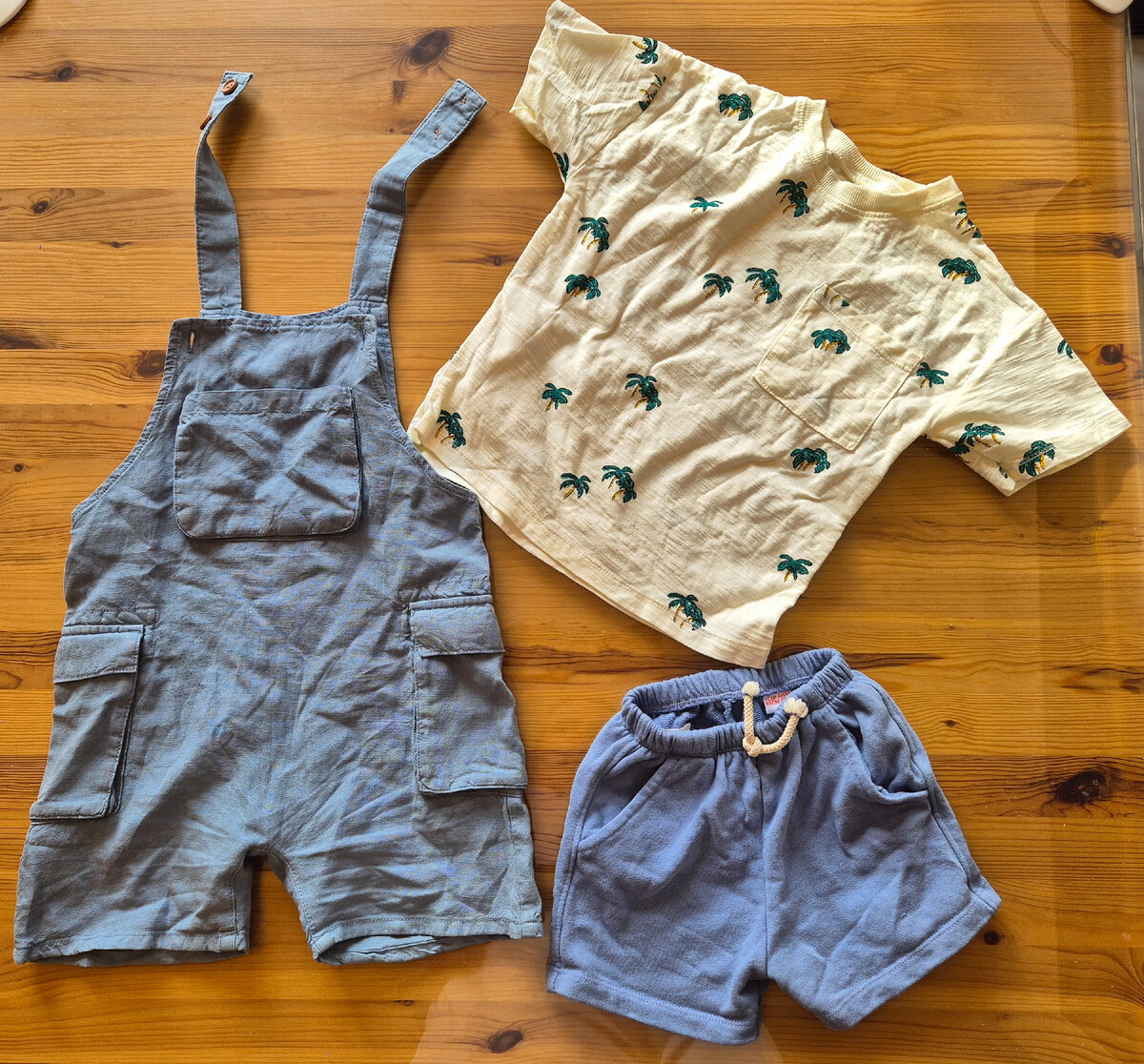 Для Гришки: хлопковый комбинезон и ещё одна футболка с пальмами, для Коли: трикотажные шорты. Чек не сохранился, но помню, что комбинезон был недешёвый - больше 20 евро, но шорты и футболка до 10 евро за каждую вещь