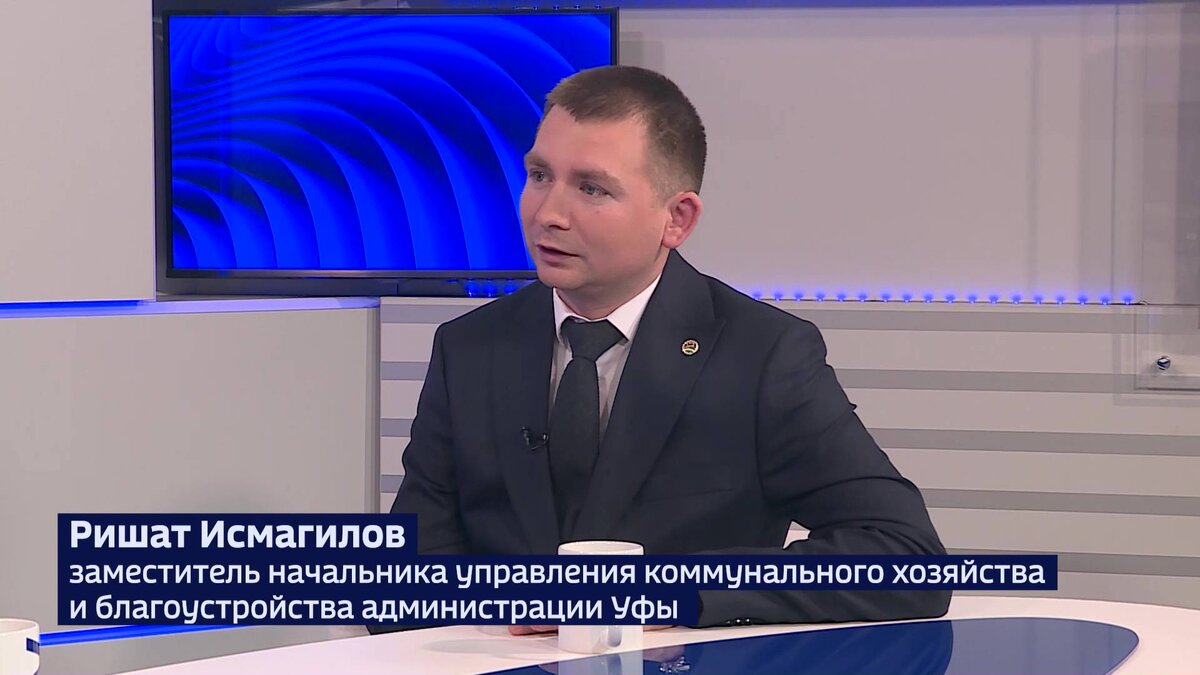    Мэрия Уфы: «Деревья нужно обновлять, потому что у них, как у человека, есть срок жизни»