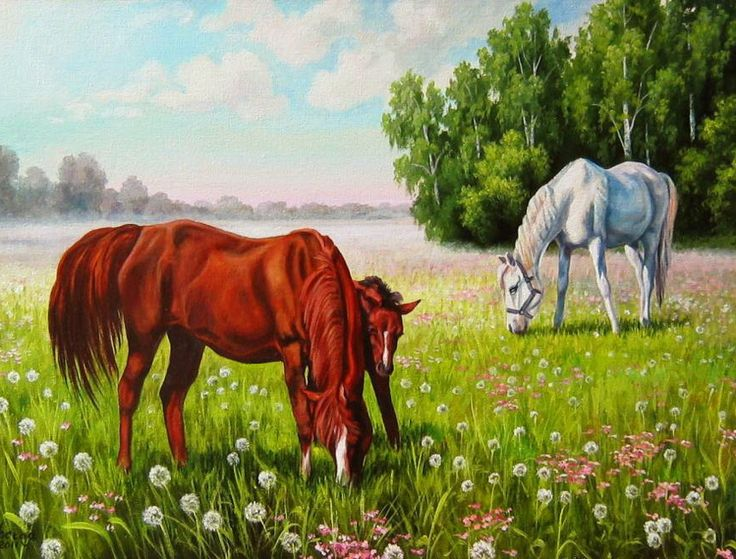 Самарская Елена Михайловна