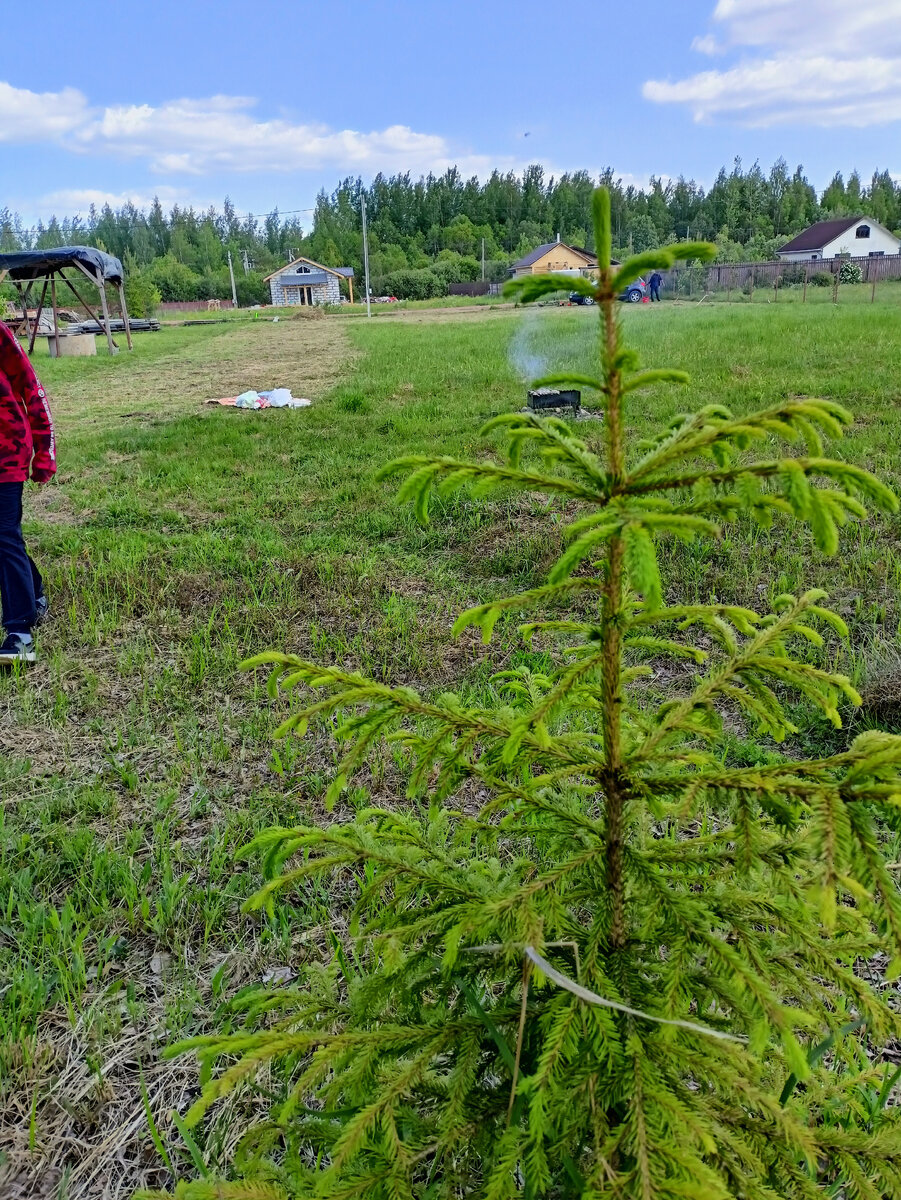 Пригороды Великого Новгорода для постоянного проживания | Сибирский ветер.  Переехавшие в Великий Новгород из Сибири | Дзен