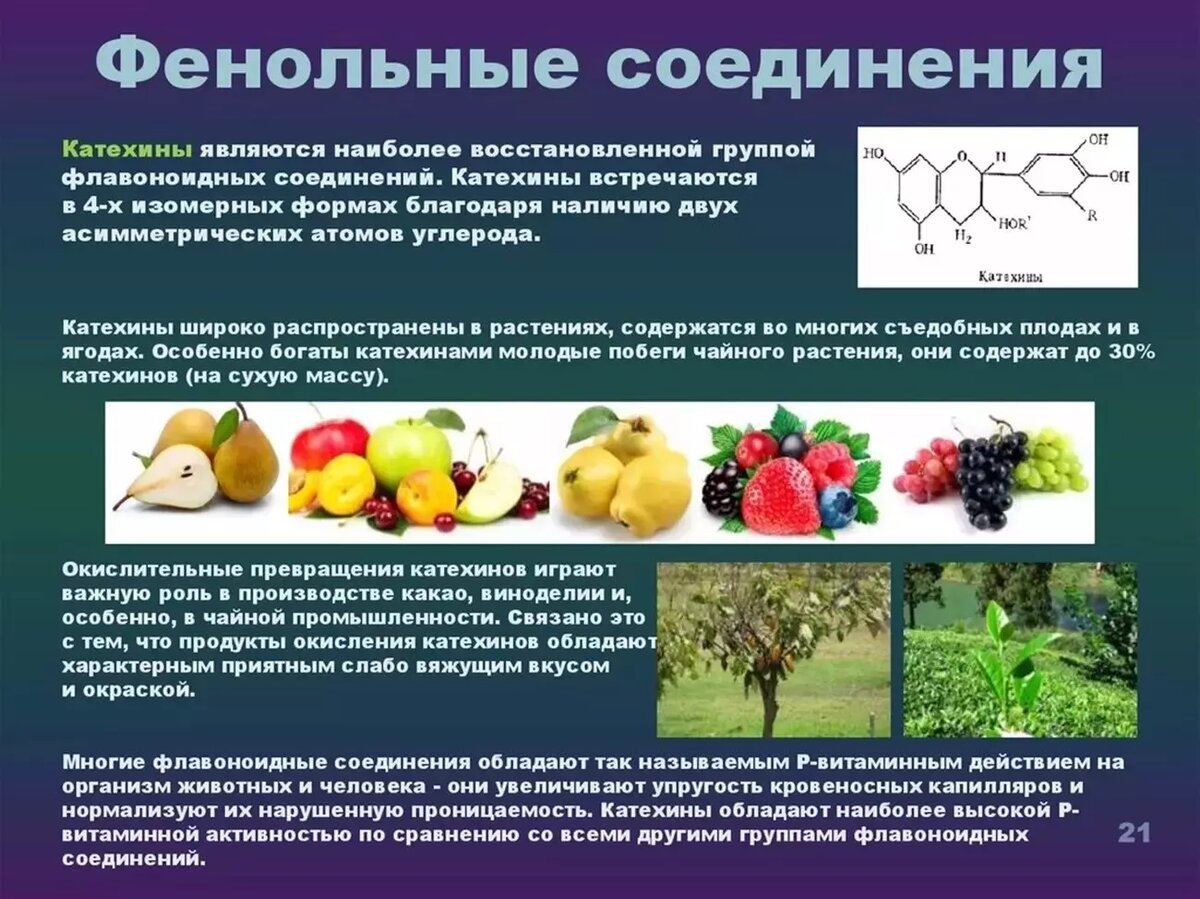 В чае содержатся флавоноиды, способные снизить риски развития диабета. Фото: ppt-online.org