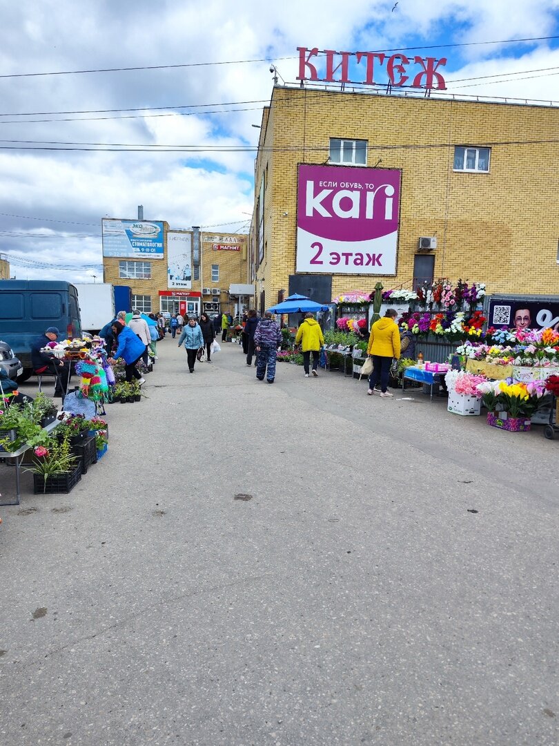 Рассаде каюк: пришлось ехать на местный рынок за новой. Обзор покупок на  6000 руб. и того что сейчас происходит на участке | Даня на даче: строю и  показываю! | Дзен