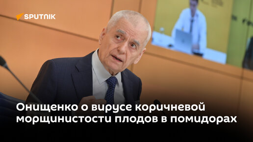 Онищенко о помидорном вирусе и как с ним бороться