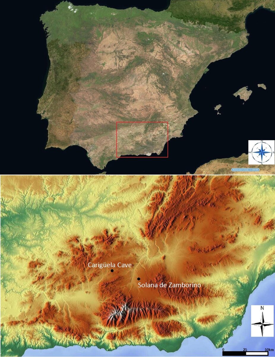  Riquelme Cantal Jose Antonio et al. / Journal of Archaeological Science: Reports, 2024