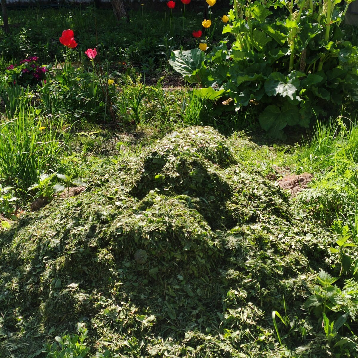 Получилась замечательная кучка биомассы для мульчирования будущего огорода