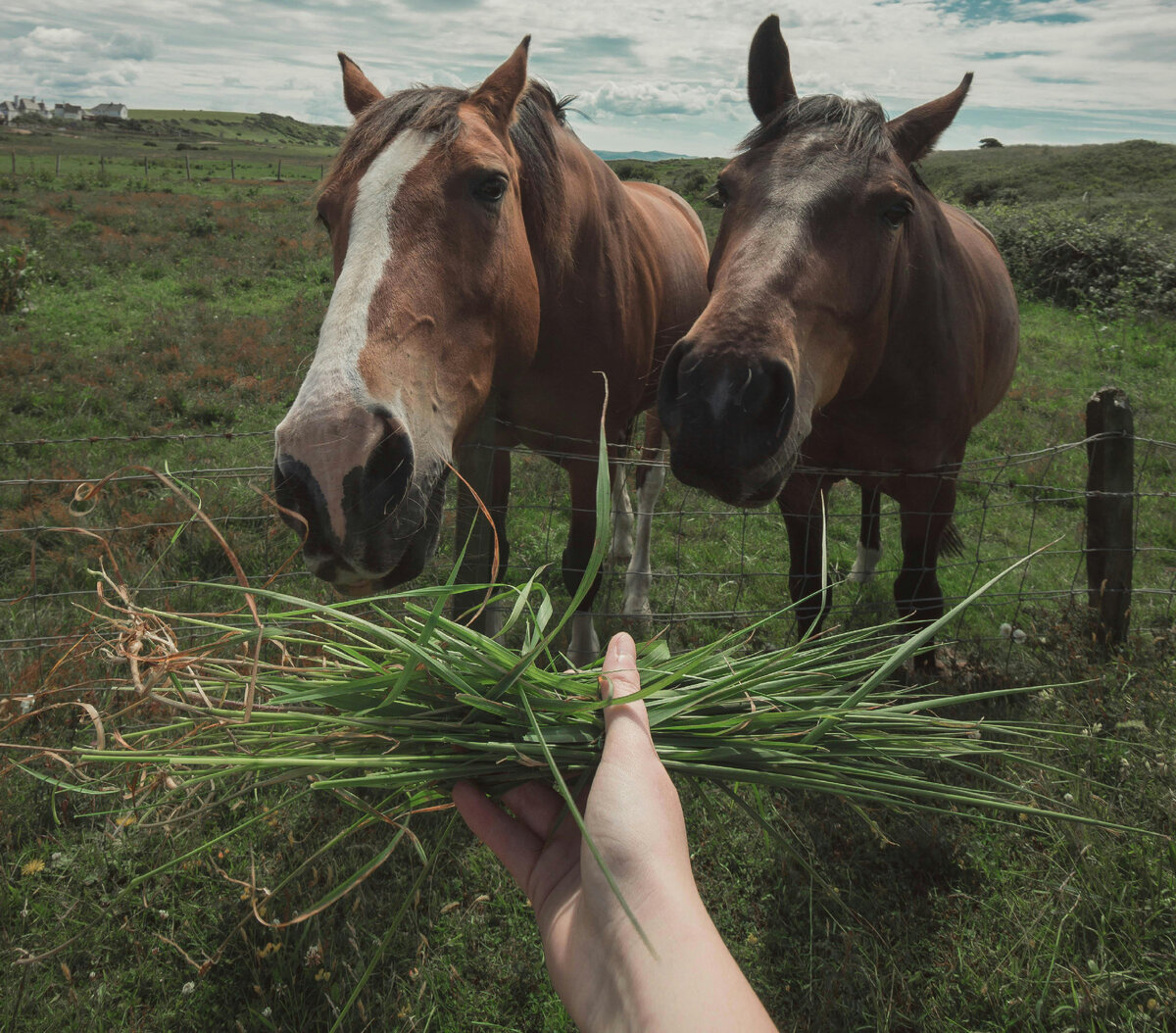 Фото: Katie McNulty/Pexels.com 
