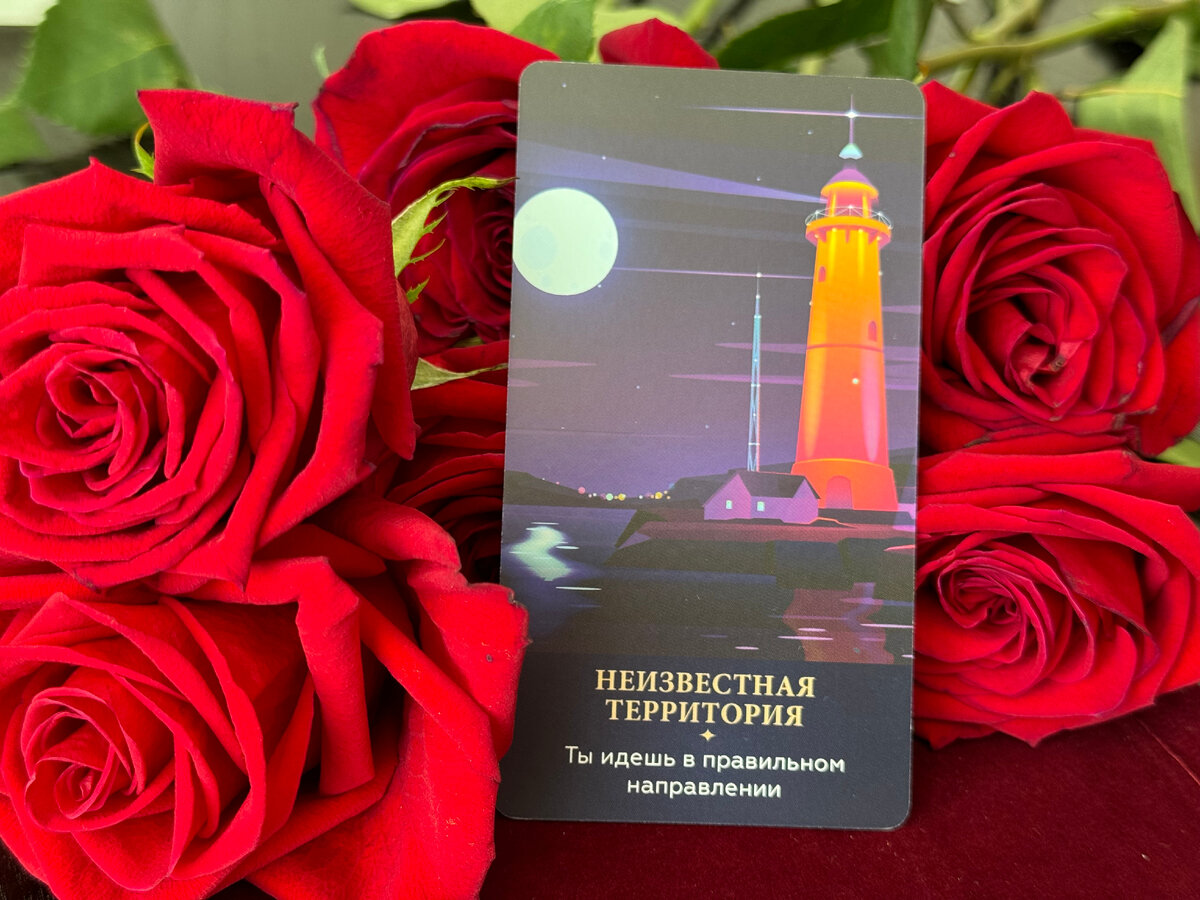 Послание Вселенной - ты идешь в правильном направлении.