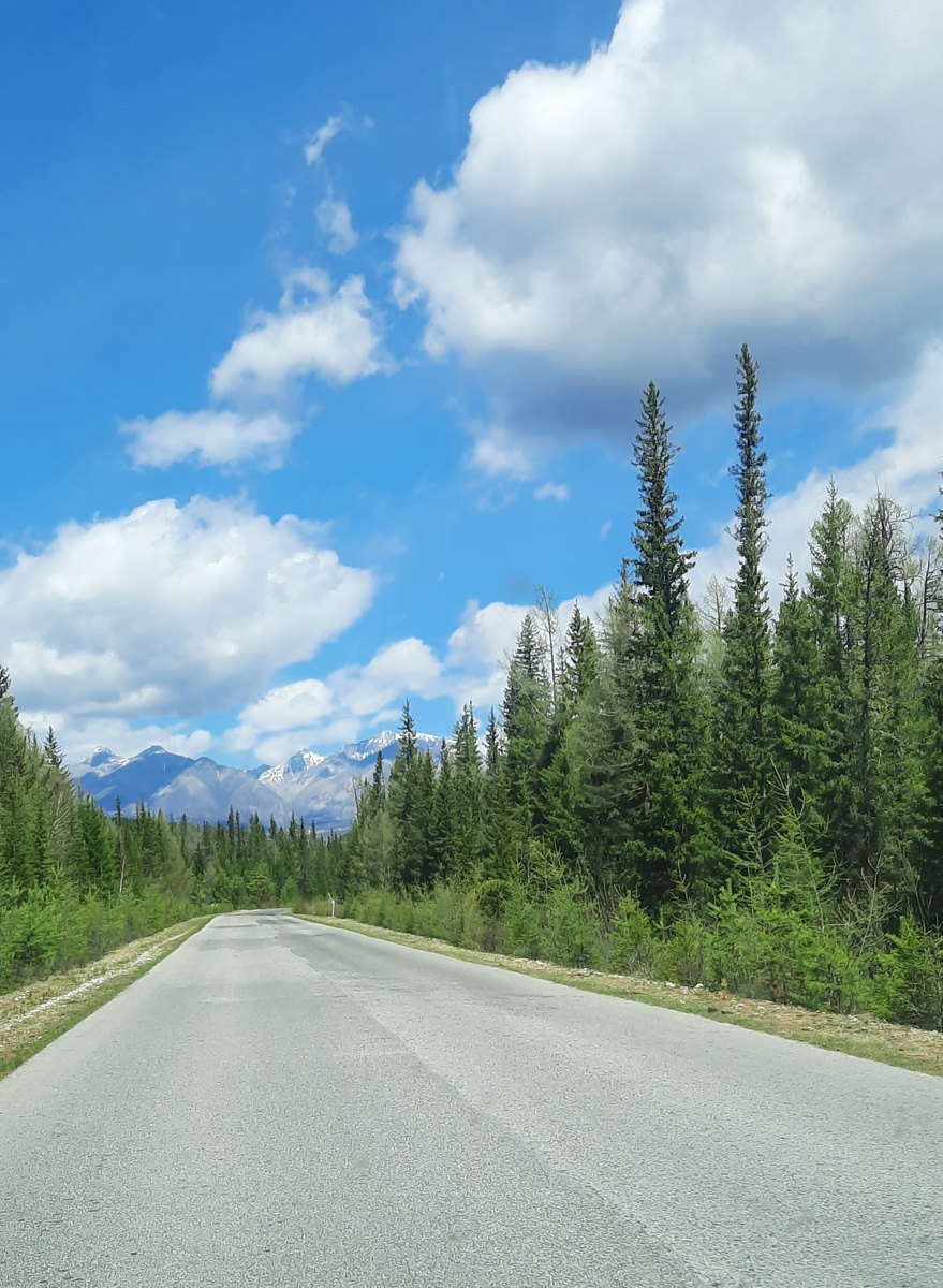 г. Шумак. дорога к н. пустыни