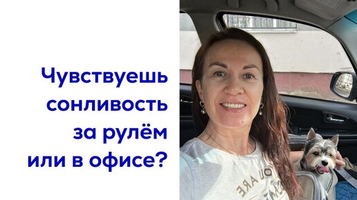 Что делать, чтобы не заснуть за рулём?