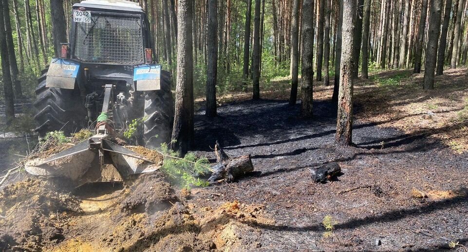    Комитет лесного хозяйства хозяйства Московской области