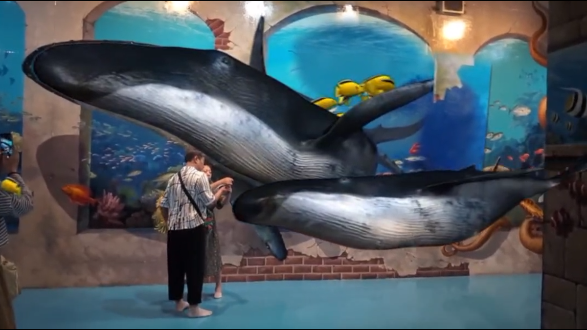 Больше всего меня потрясли пролетающие мимо киты😁