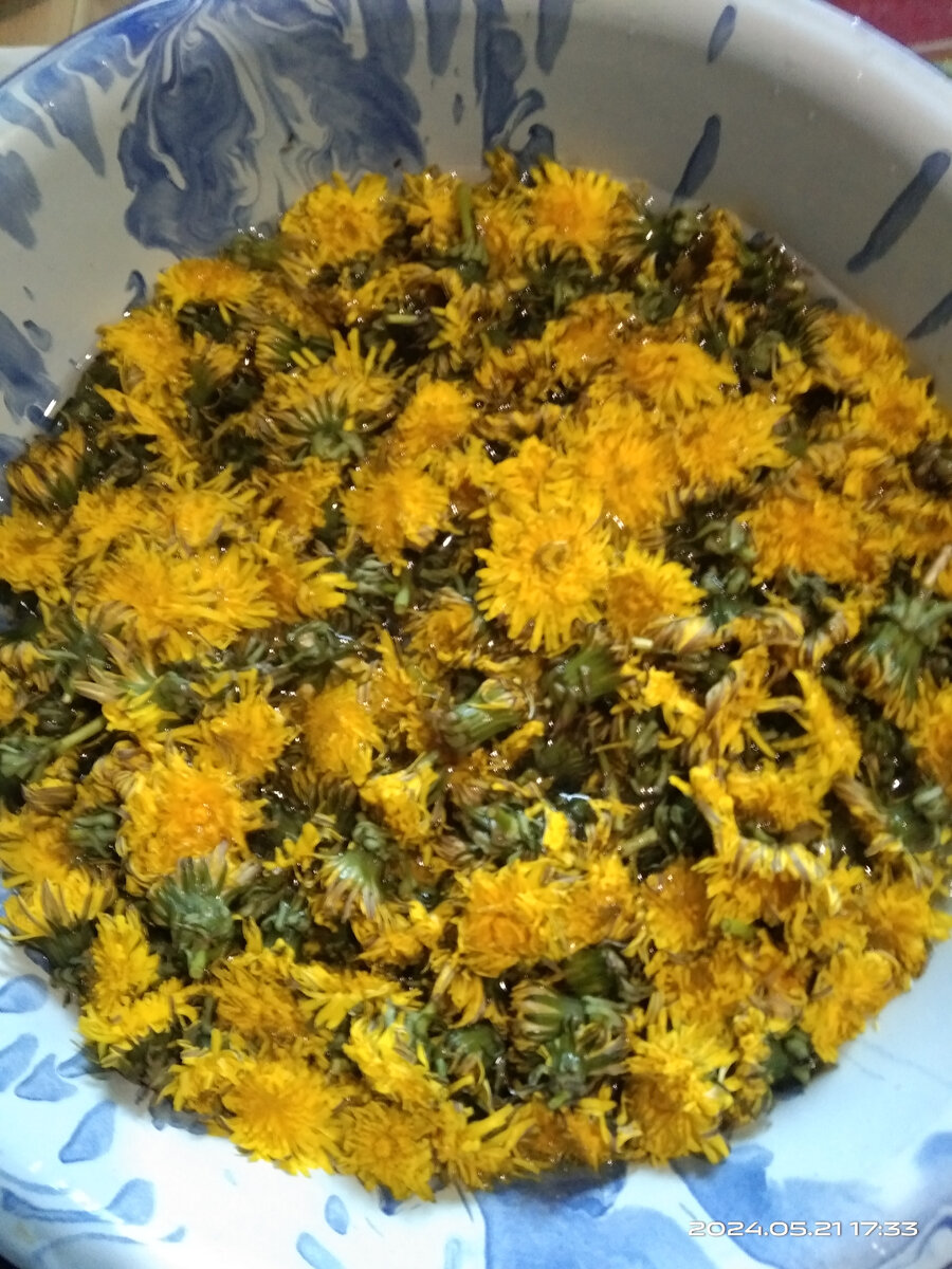 Промываем головки одуванчиков