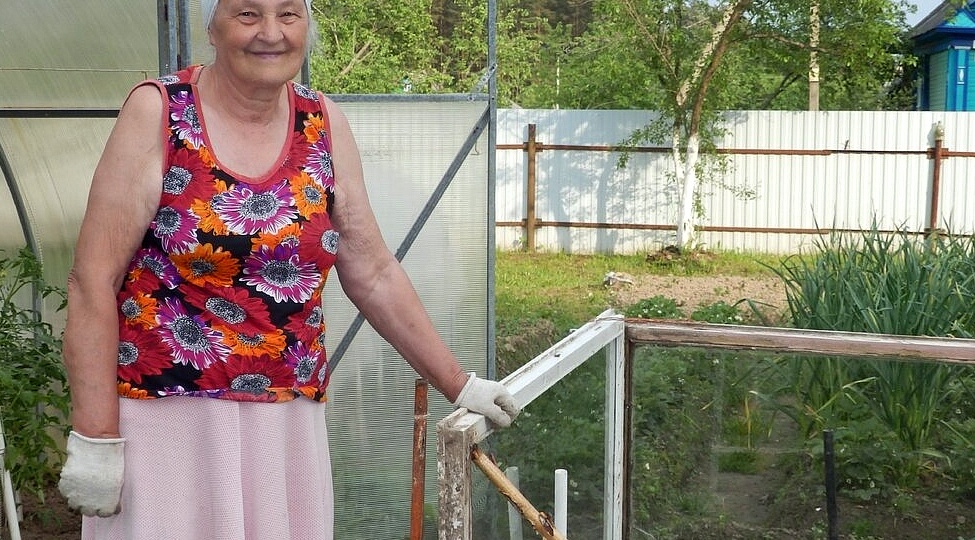 Всё "бросовое" - в дело: 15 полезных штук для дачи без лишних расходов. Хитроумные вещицы своими руками