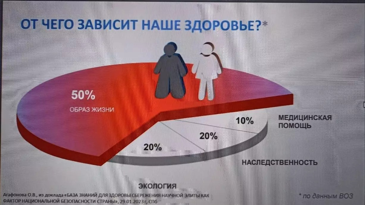 Ученые отмечают, что здоровье человека на 50% зависит от образа жизни. По 20% составляет вклад экологии и наследственности и 10% — состояния медицины.