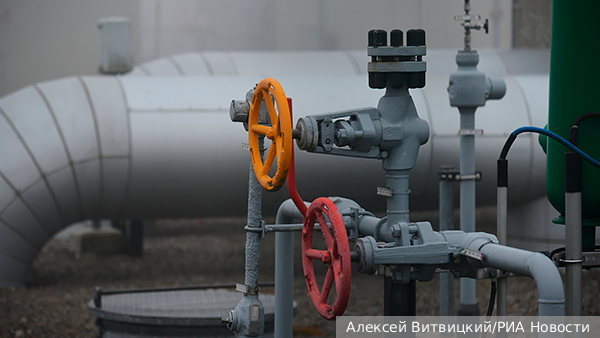     Фото: Алексей Витвицкий/РИА Новости   
 Текст: Ольга Никитина