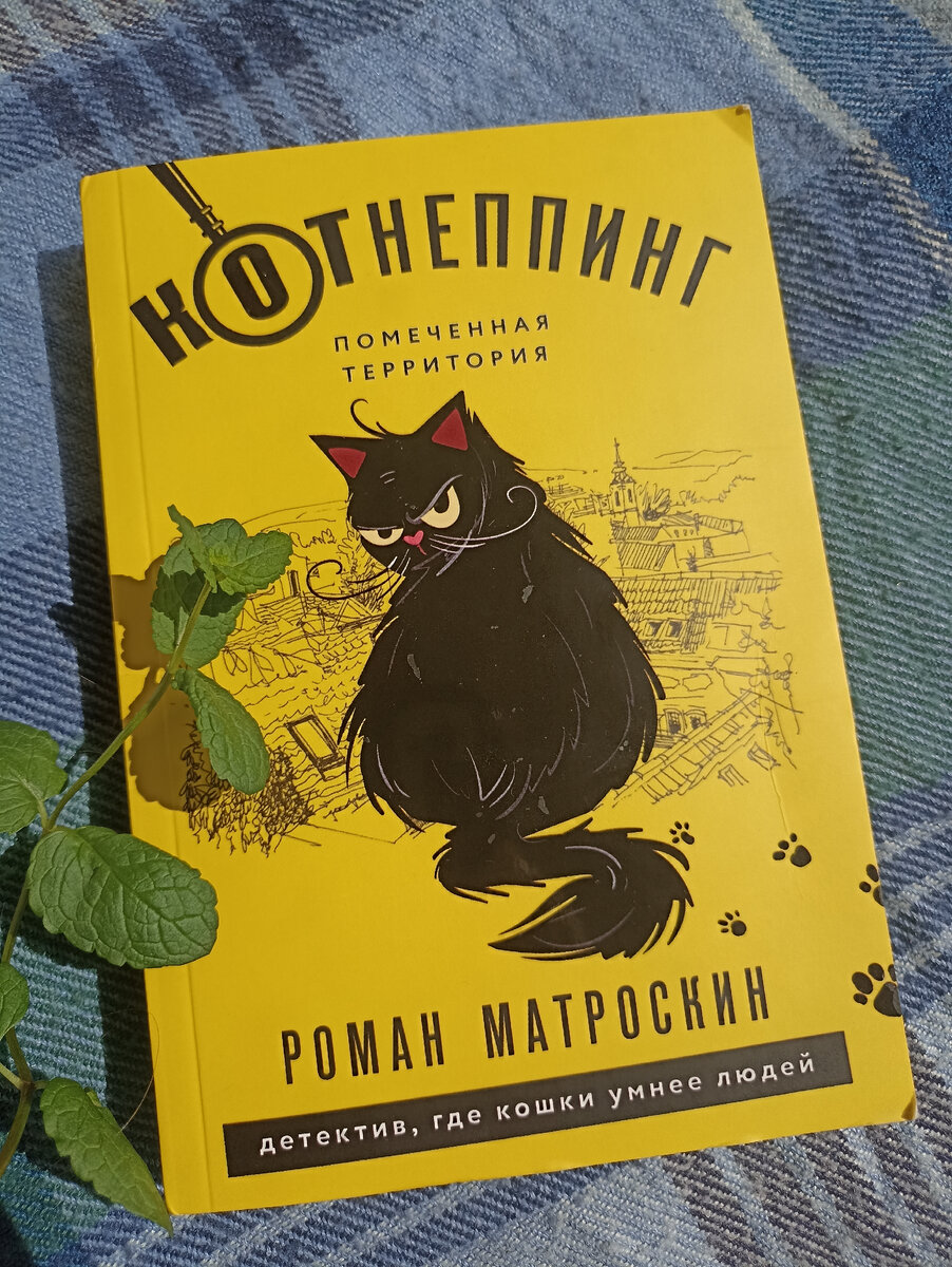 Книжечка куплена за 80р в Читай-городе...