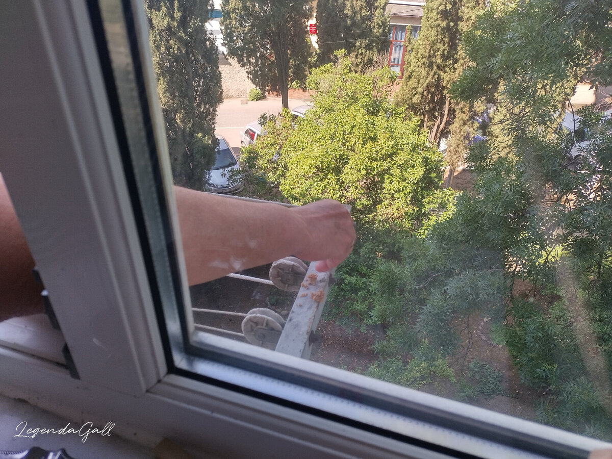 Вера крошки сыплет