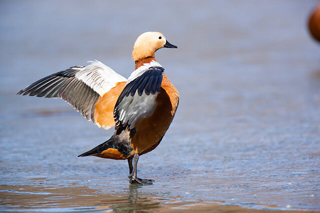    Фото: Из личного архива