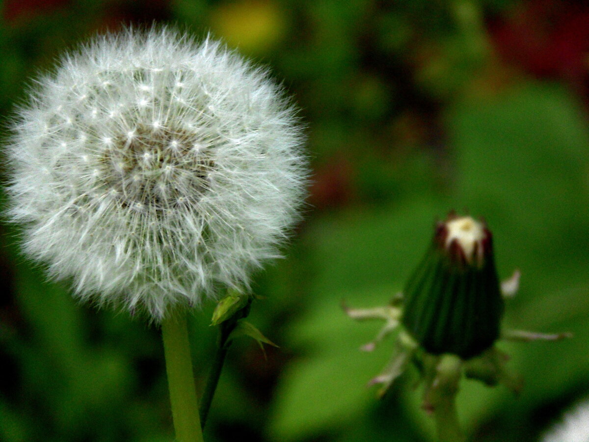 Состояние. Фото автора