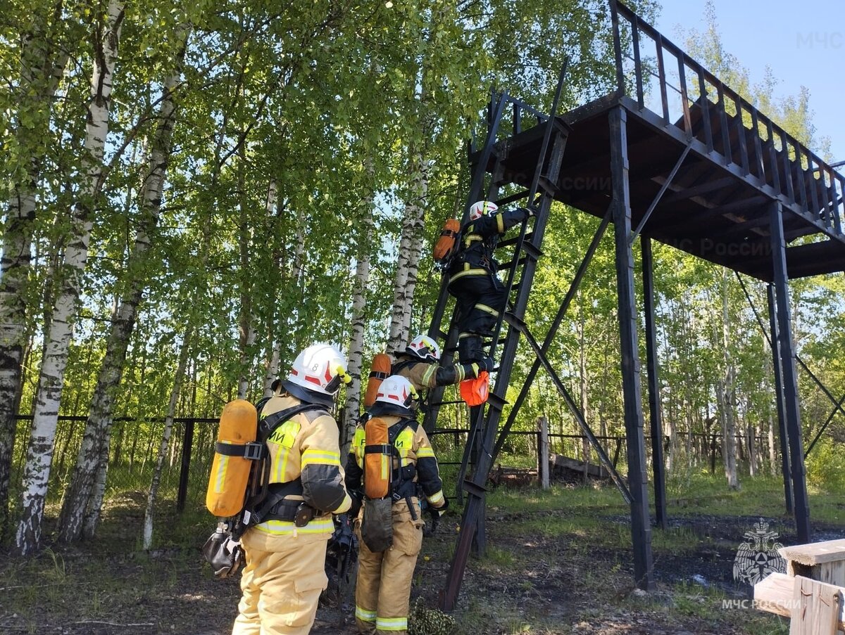 Соревнования на определение «Лучшего звена ГДЗС» в Тверской области | МЧС  Тверской области | Дзен