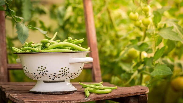 Источник: Freepik