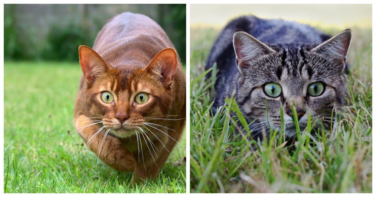 Fishki net солянка. Fishki net солянка. Fishki net солянка. Fishki net солянка. Fishki net солянка.