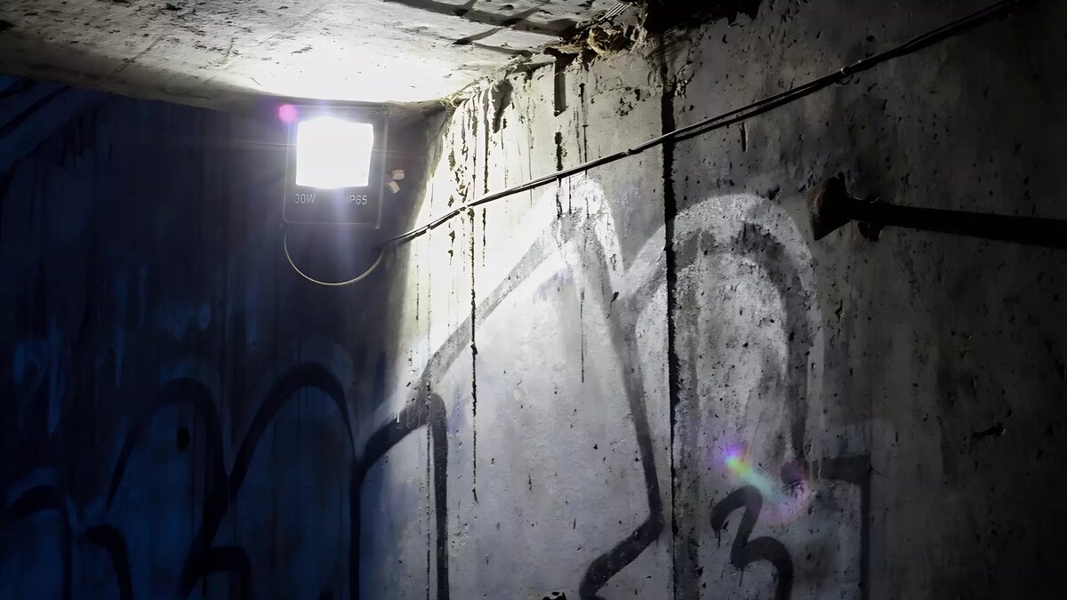     Источник: 1MI