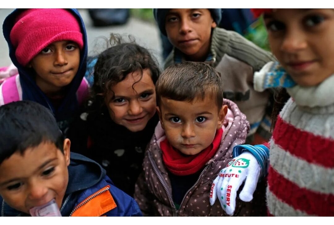 Фото из интернет 