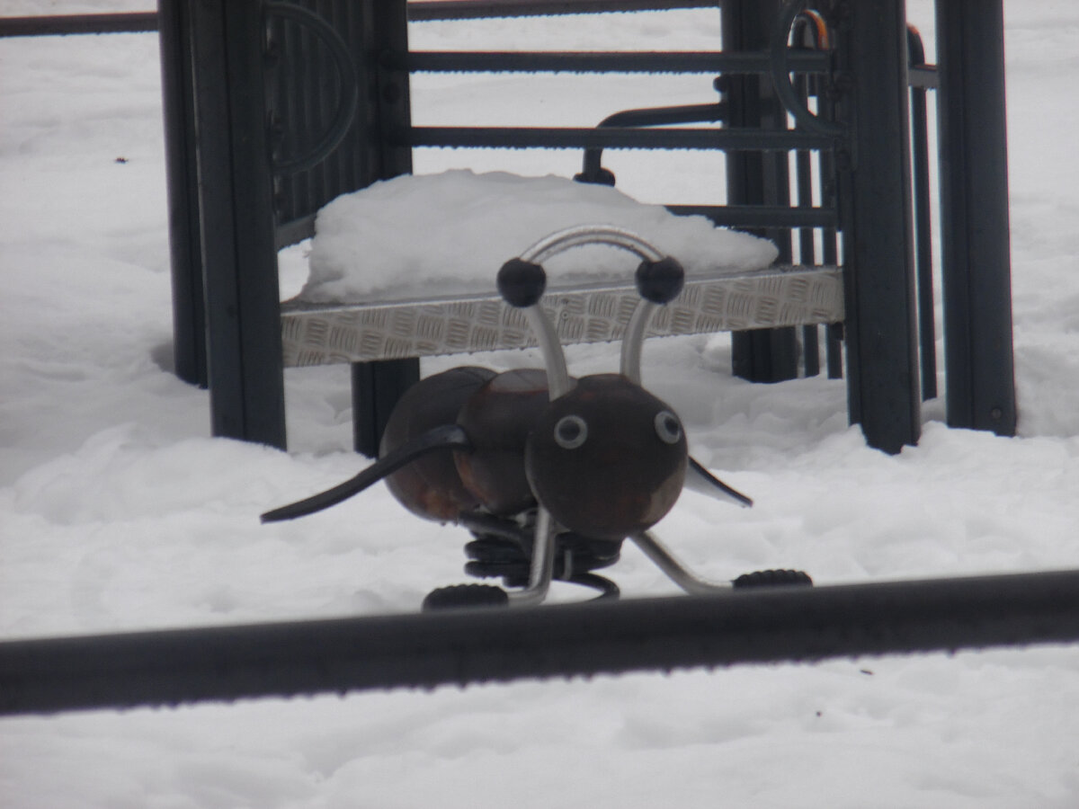 Муравей на детской площадке...