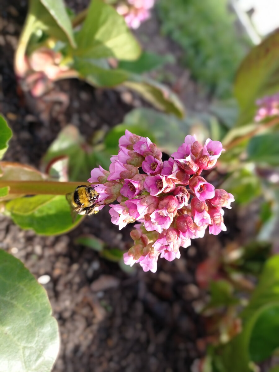 Наконец-то что-то похожее на весну пришло на Урал