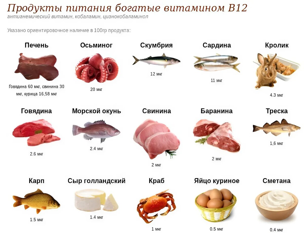 Изображение разнообразных источников витамина B12 в продуктах питания, таких как мясо, рыба и молочные продукты