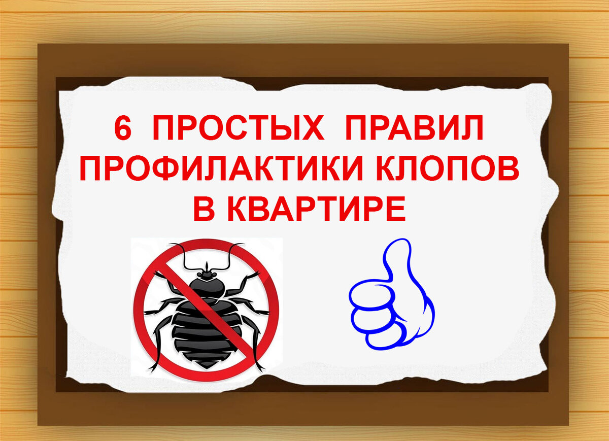 Профилактика появления клопов в квартире | КлопИнфо. Средства от насекомых  BUGSTOP.RU | Дзен