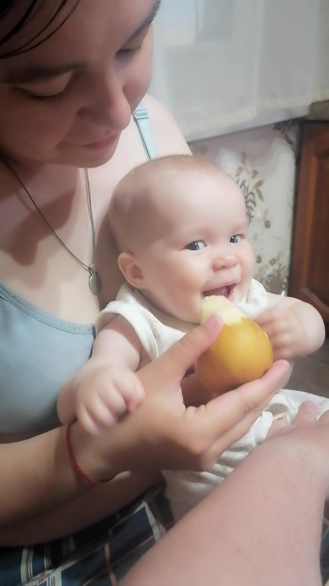 Хитрый жук ест грушу. На фото уже большая