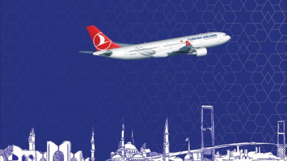 Turkish Airlines: летим с собакой | ПЕС в СВЕТ | Дзен