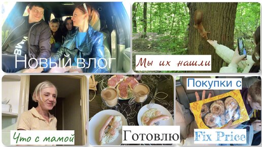 Семейный влог👨‍👩‍👧‍👦|| Что с мамой ⁉️|| Готовлю 🧑‍🍳 || Мы их нашли 🐿️|| Обновление парка🦢|| Покупки