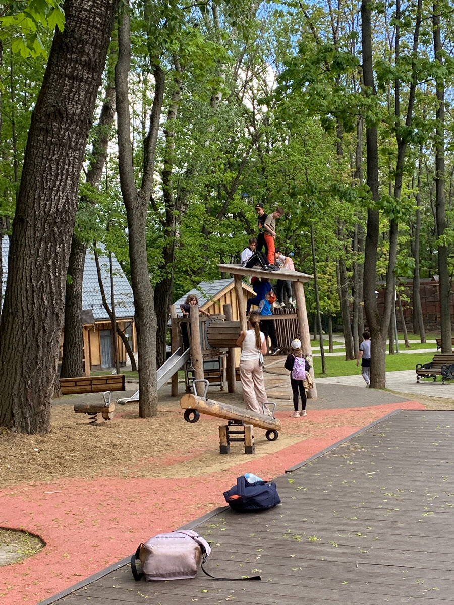 Фото автора. Это уже после похода вся весёлая компания на детской площадке 